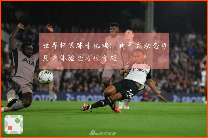 世界杯买球手机端：新平台动态与用户体验全方位介绍