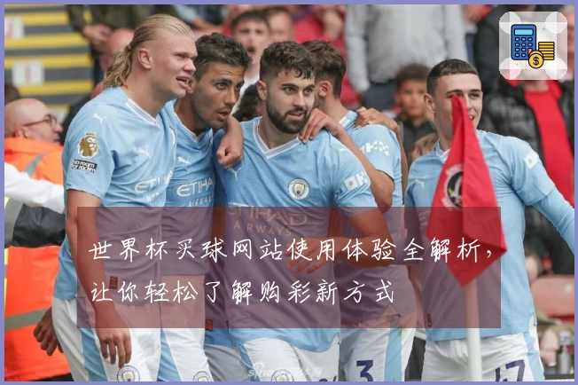 世界杯买球网站使用体验全解析,让你轻松了解购彩新方式