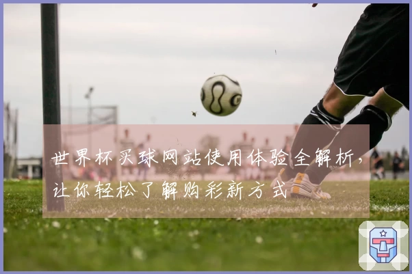 世界杯买球网站使用体验全解析，让你轻松了解购彩新方式
