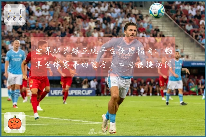 世界杯买球正规平台使用指南：畅享全球赛事的官方入口与便捷访问方式