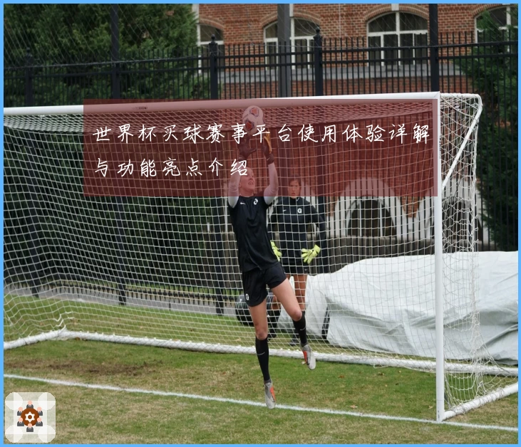 世界杯买球赛事平台使用体验详解与功能亮点介绍