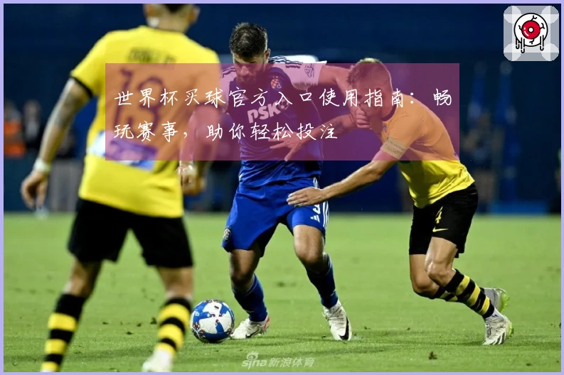 世界杯买球官方入口使用指南:畅玩赛事,助你轻松投注