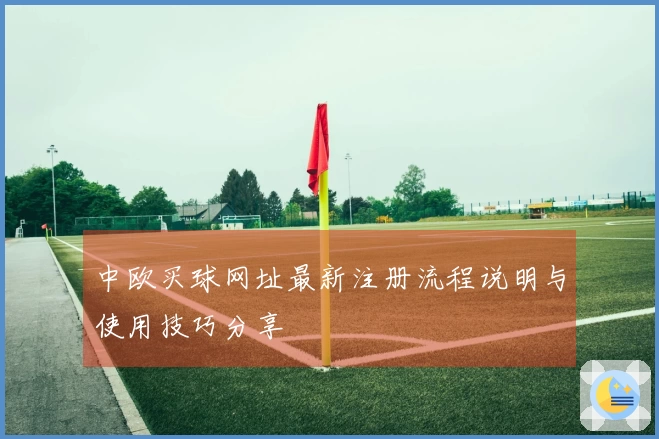 中欧买球网址最新注册流程说明与使用技巧分享