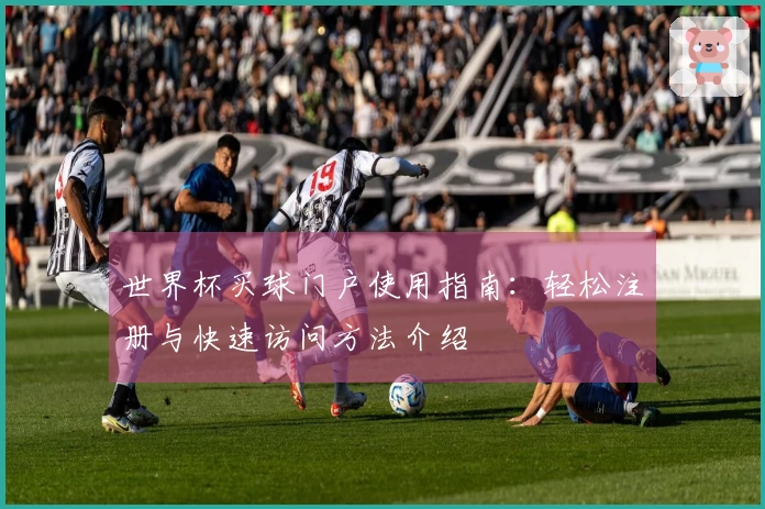 世界杯买球门户使用指南：轻松注册与快速访问方法介绍