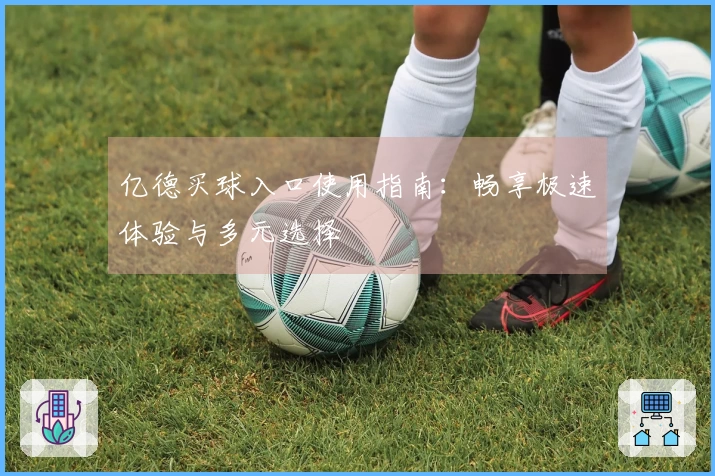 亿德买球入口使用指南：畅享极速体验与多元选择