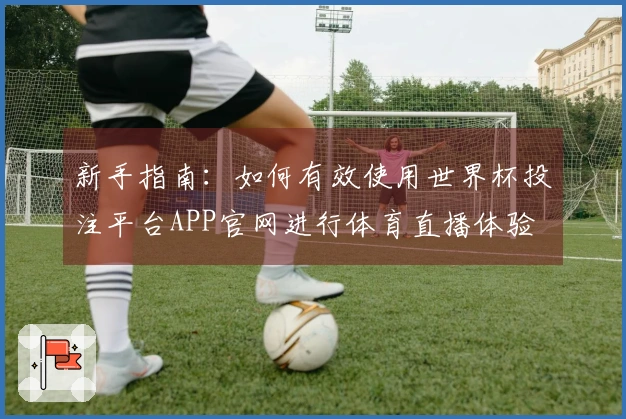 新手指南：如何有效使用世界杯投注平台APP官网进行体育直播体验