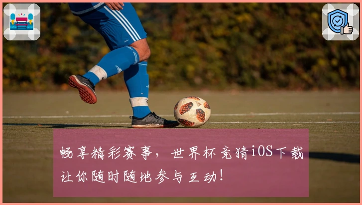 畅享精彩赛事，世界杯竞猜iOS下载让你随时随地参与互动！