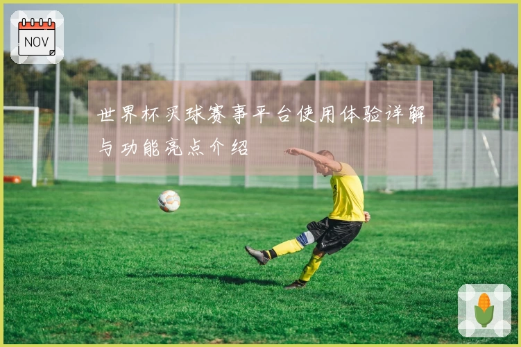 世界杯买球赛事平台使用体验详解与功能亮点介绍