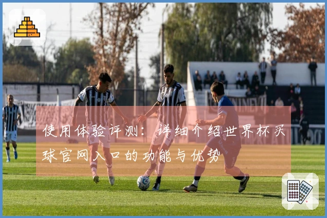 使用体验评测：详细介绍世界杯买球官网入口的功能与优势