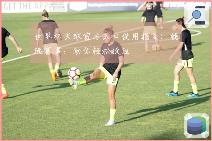 世界杯买球官方入口使用指南：畅玩赛事，助你轻松投注