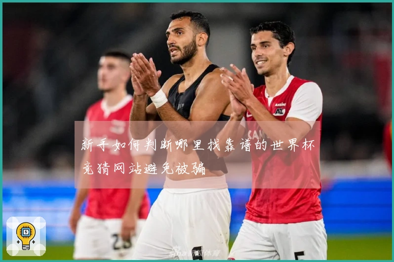 新手如何判断哪里找靠谱的世界杯竞猜网站避免被骗