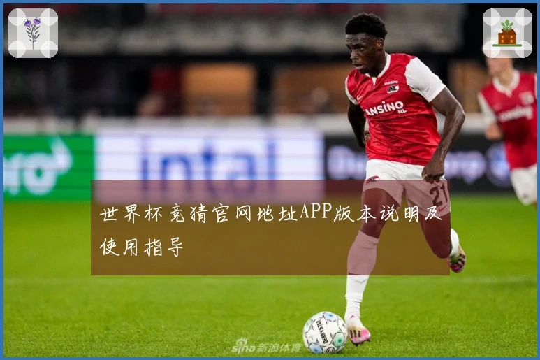 世界杯竞猜官网地址APP版本说明及使用指导