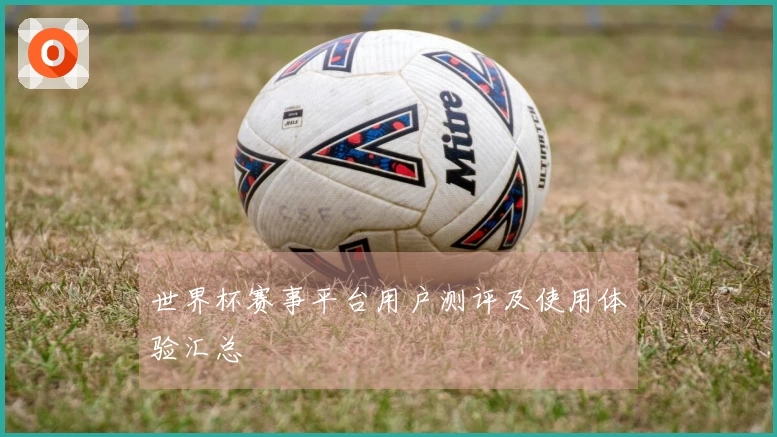 世界杯赛事平台用户测评及使用体验汇总