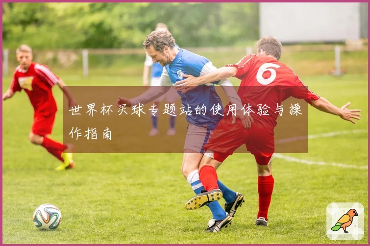 世界杯买球专题站的使用体验与操作指南