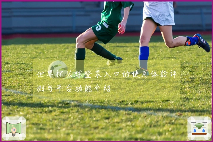 世界杯买球登录入口的使用体验评测与平台功能介绍