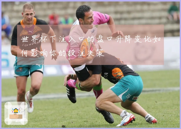 世界杯下注入口的盘口升降变化如何影响你的投注决策